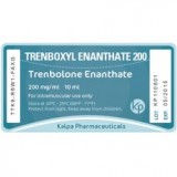 Trenboxyl Enanthate 200