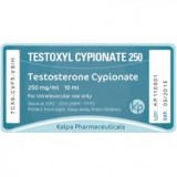 Testoxyl Cypionate 250