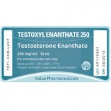 Testoxyl Enanthate 250