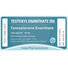 Testoxyl Enanthate 250
